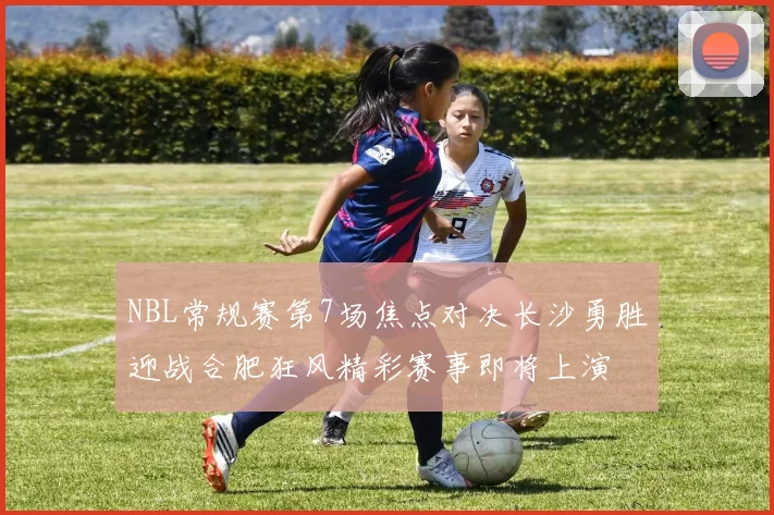 NBL常规赛第7场焦点对决长沙勇胜迎战合肥狂风精彩赛事即将上演